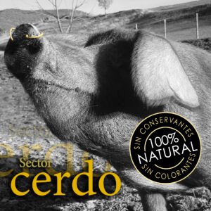 Curados y Loncheados